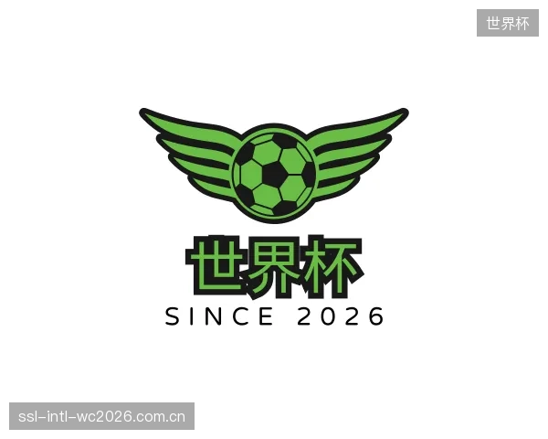 发现世界杯公司